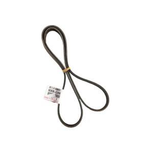 COURROIE ACCESSOIRE RAV4 2015-2018